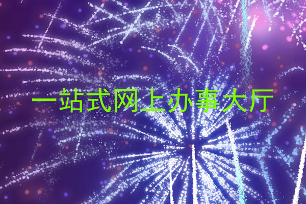 一站式网上办事大厅