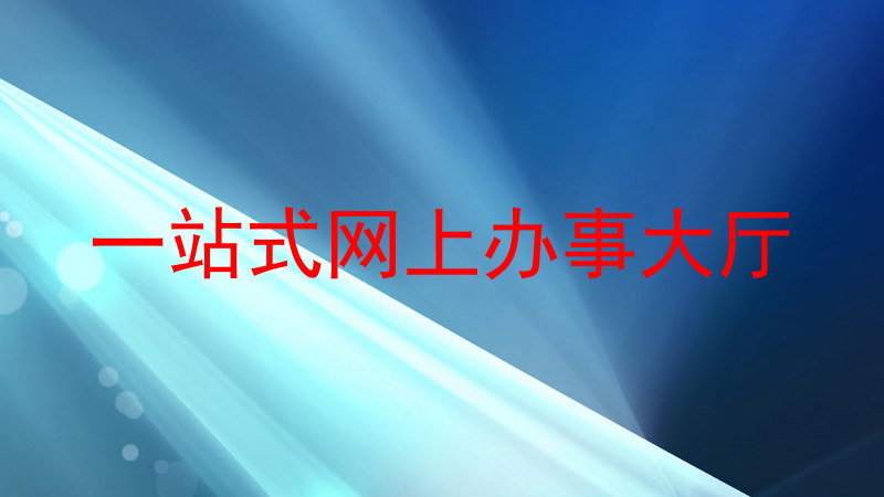 一站式网上办事大厅