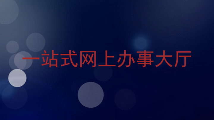 一站式网上办事大厅