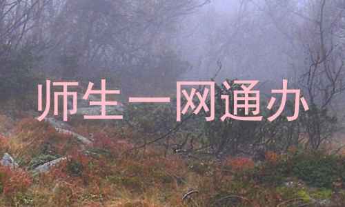 师生一网通办