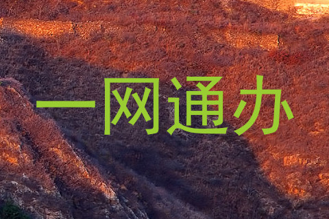 一网通办
