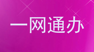 一网通办