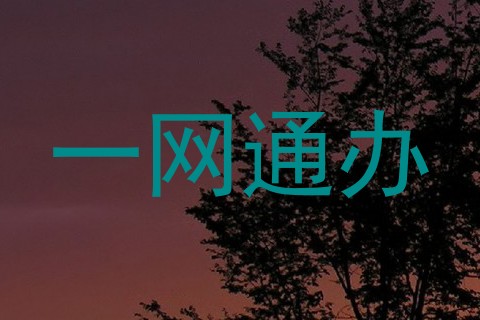 一网通办