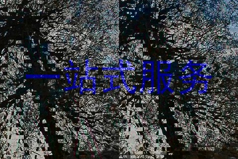 一站式服务