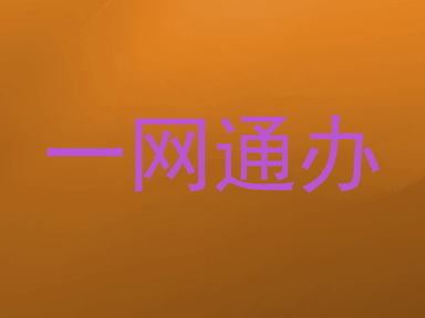 一网通办