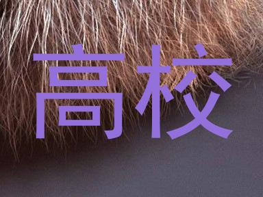 高校