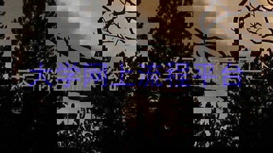 大学网上流程平台