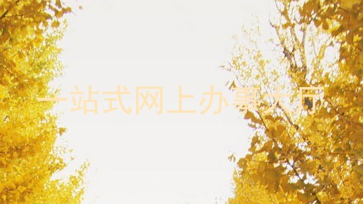 一站式网上办事大厅