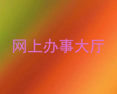 网上办事大厅