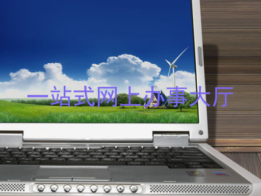 一站式网上办事大厅