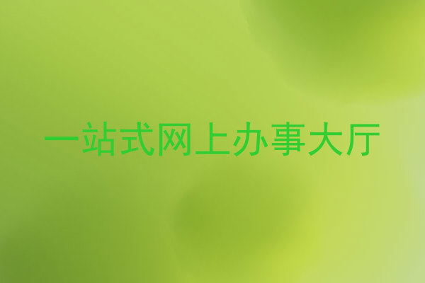 一站式网上办事大厅