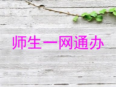 师生一网通办