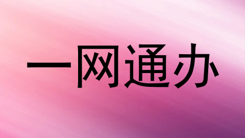 一网通办