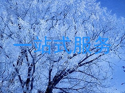一站式服务