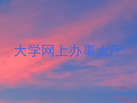 大学网上办事大厅