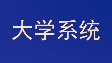 大学系统