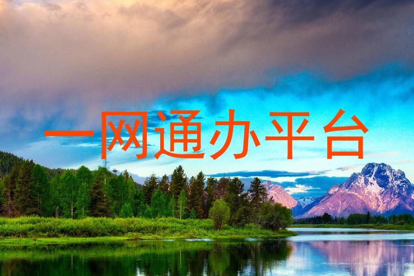 一网通办平台