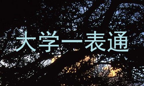 大学一表通