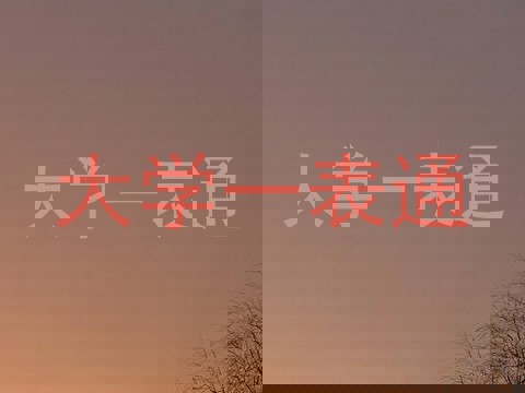 大学一表通