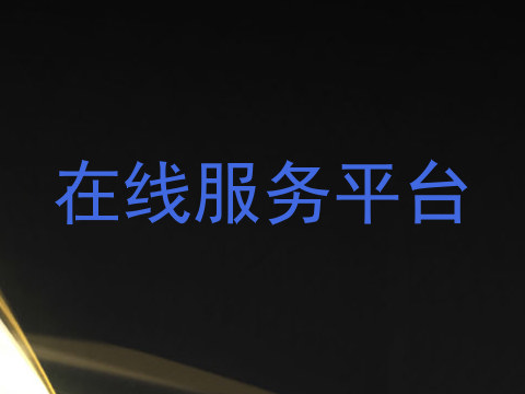 在线服务平台