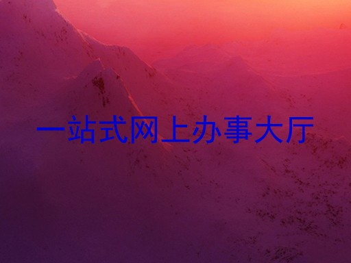 一站式网上办事大厅