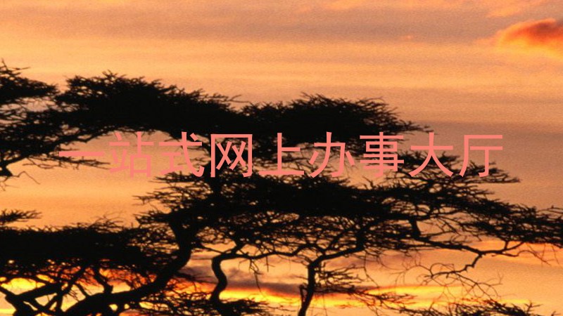 一站式网上办事大厅