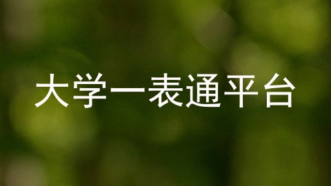 大学一表通平台