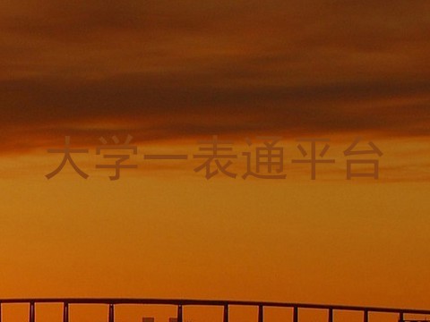 大学一表通平台