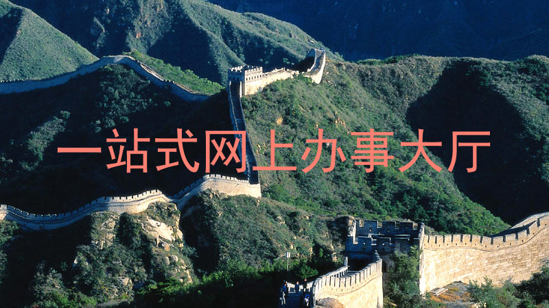 一站式网上办事大厅
