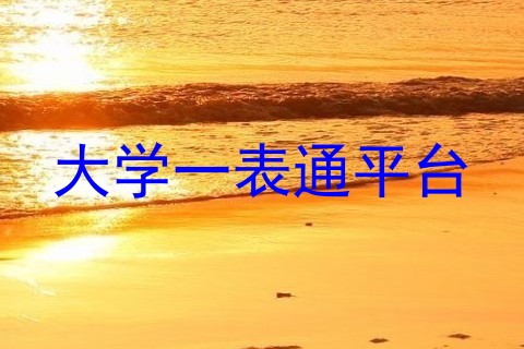 大学一表通平台