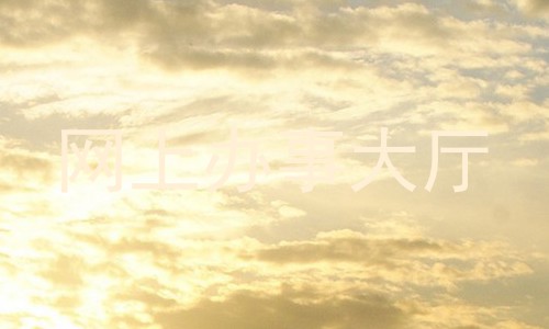 网上办事大厅