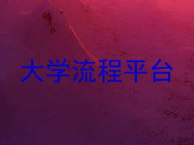 大学流程平台
