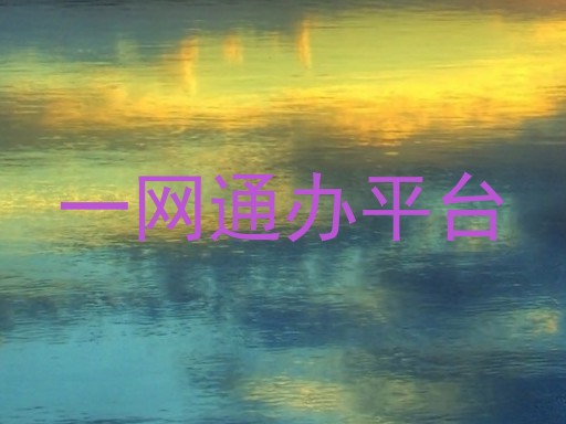 一网通办平台