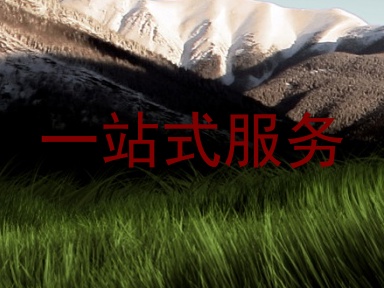 一站式服务