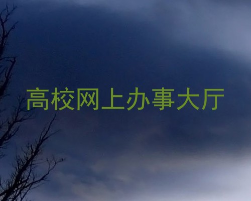 高校网上办事大厅