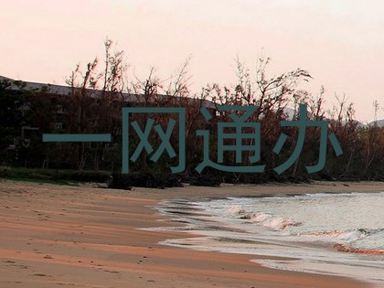 一网通办