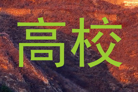 高校