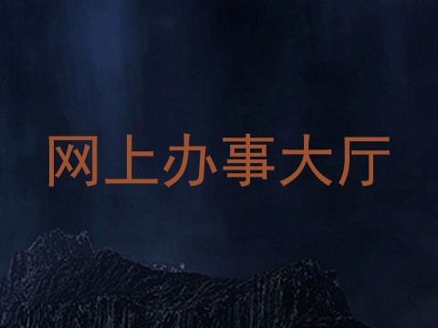 网上办事大厅