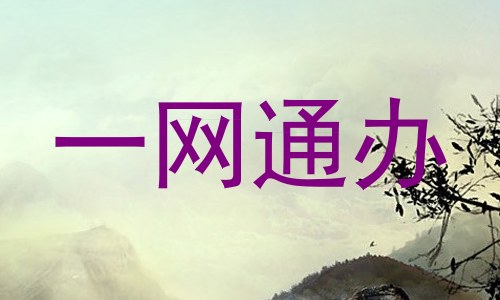 一网通办