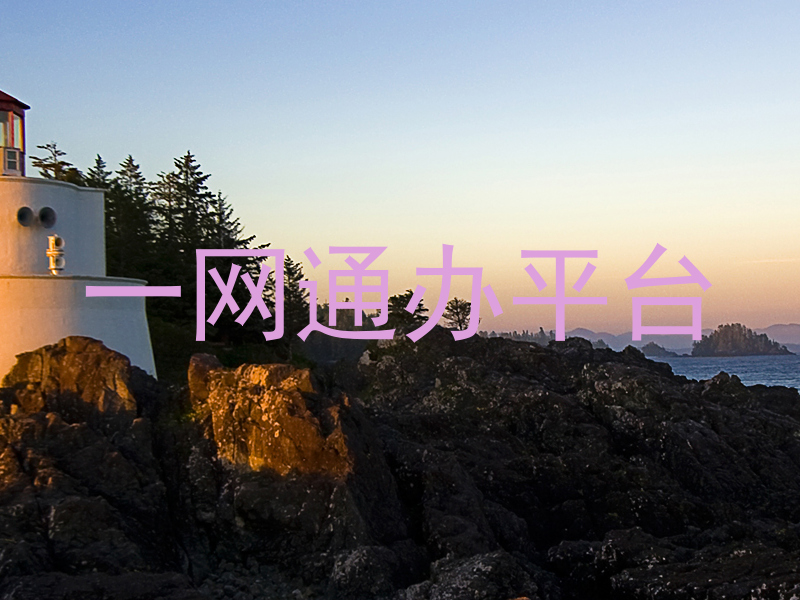 一网通办平台