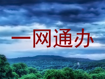 一网通办