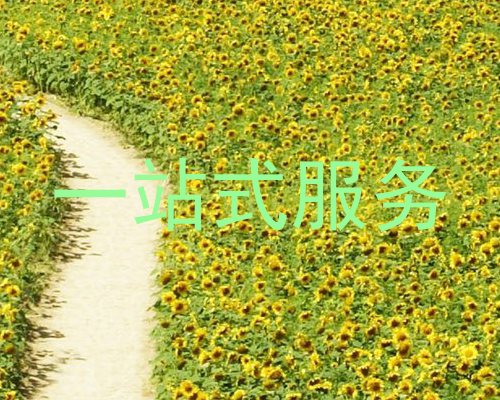 一站式服务