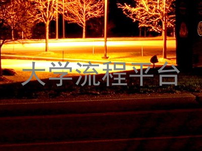 大学流程平台