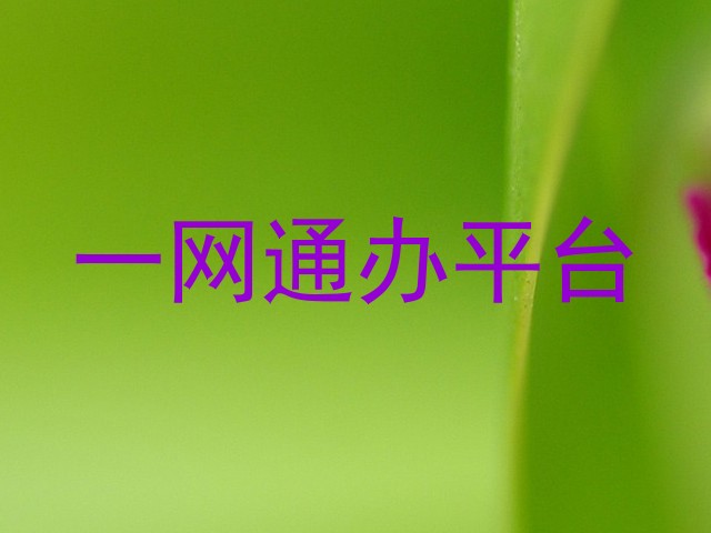 一网通办平台