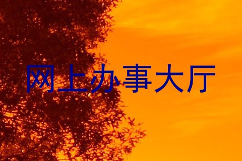 网上办事大厅