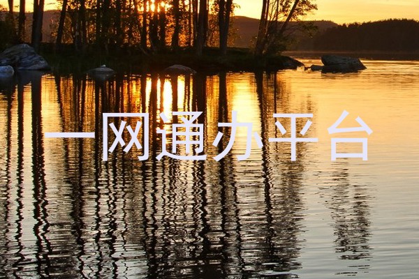 一网通办平台