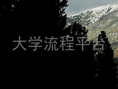 大学流程平台