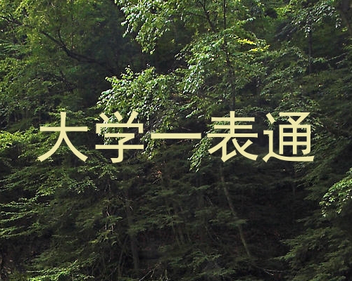 大学一表通