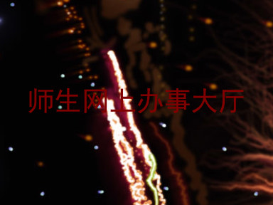 师生网上办事大厅
