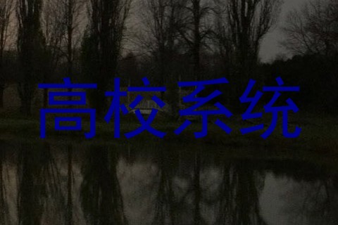高校系统